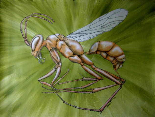 WASP