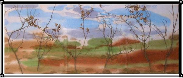 NATURALEZA   VIVA          10