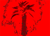 Palmera roja