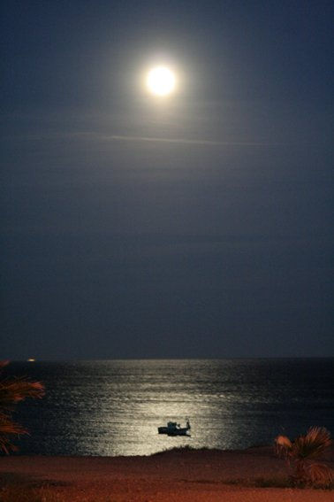 Puesta de luna-601