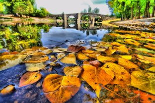 Estancadas Naturaleza Color (Digital)