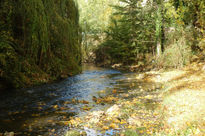 Rio Eresma 1. Segovia