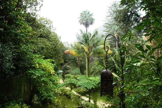 Sintra 2. Portugal 