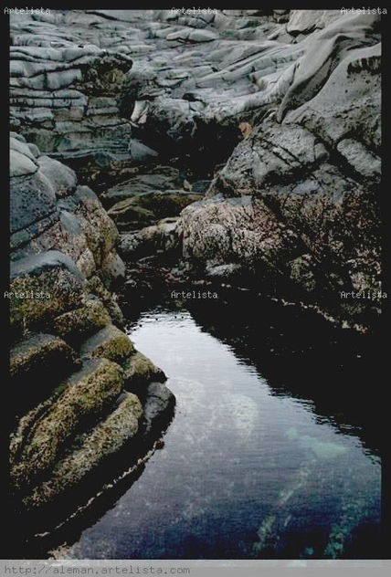 Las Salinas