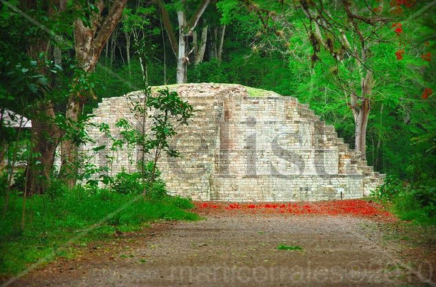 Ruinas de Copan Viajes Color (Digital)