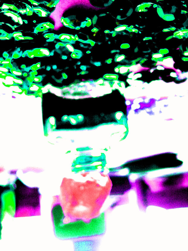 Y te volvi a ver...magenta sobre los verdes