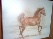 Caballo