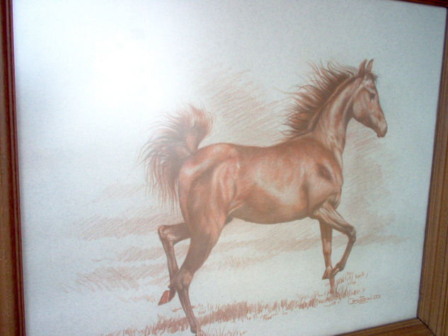 Caballo Pastel Papel Paisaje