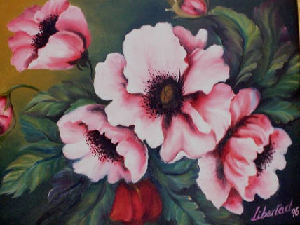 Flores