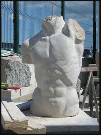 Torso masculino