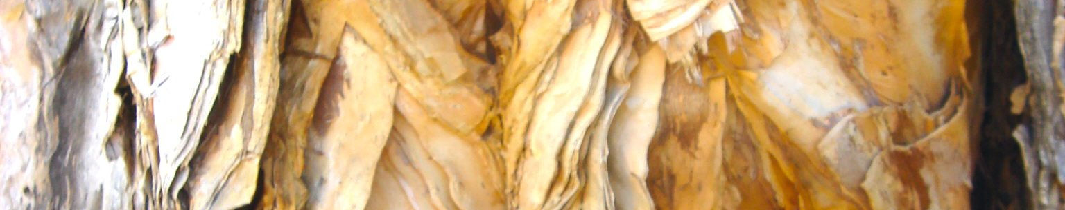Imagen de portada