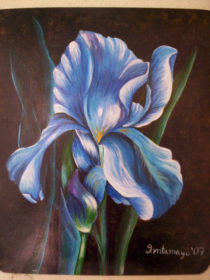 Lirio Azul Oil Canvas Floral Painting