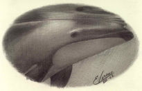 Ballena