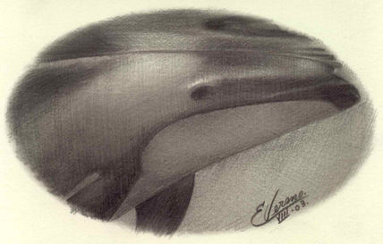 Ballena