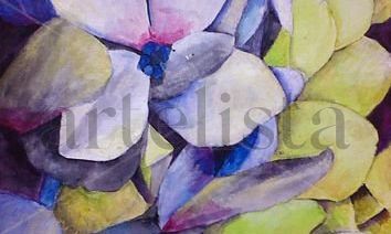 Hortensias