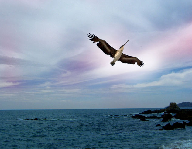 EN VUELO