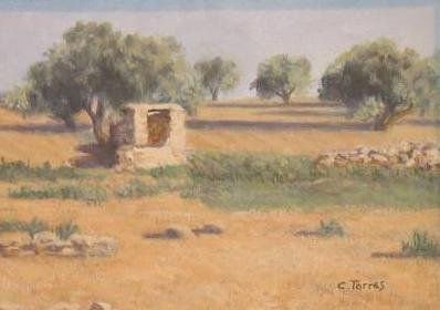 Pozo Oil Canvas Landscaping