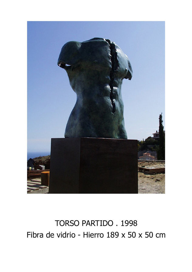 TORSO PARTIDO