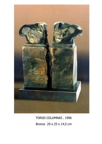 Torso columnas