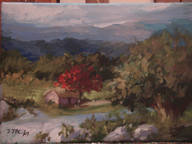 PAISAJES CARIBEÑOS Acrylic Canvas Landscaping