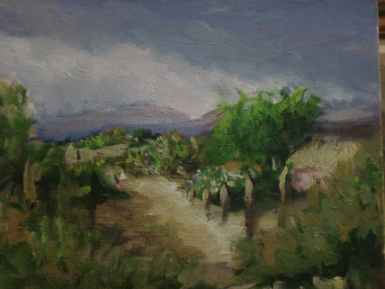 Paisajes caribeños