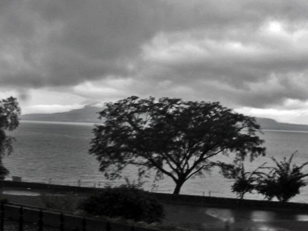 UN DIA GRIS Naturaleza Blanco y Negro (Química)