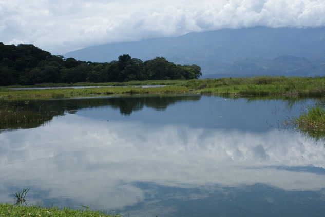 Lago de Yojoa I Nature Color (Digital)