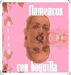 flamencos 