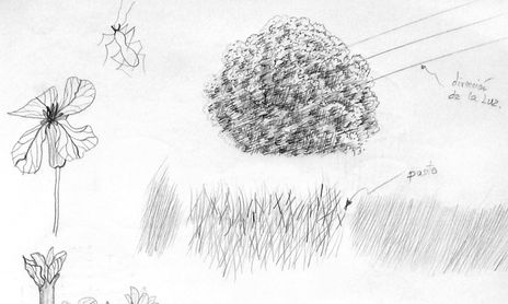 Estudios-ejercicios (dibujos)