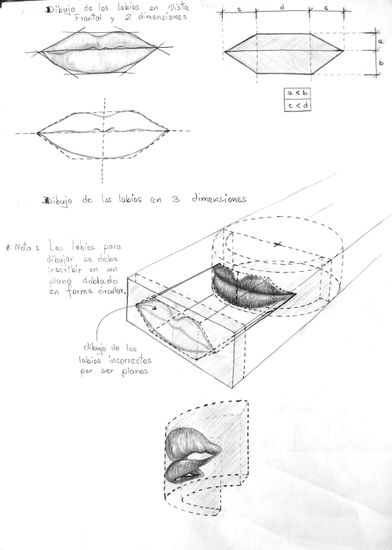 Estudio de los labios 