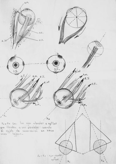 Estudio de los movimientos de los ojos 