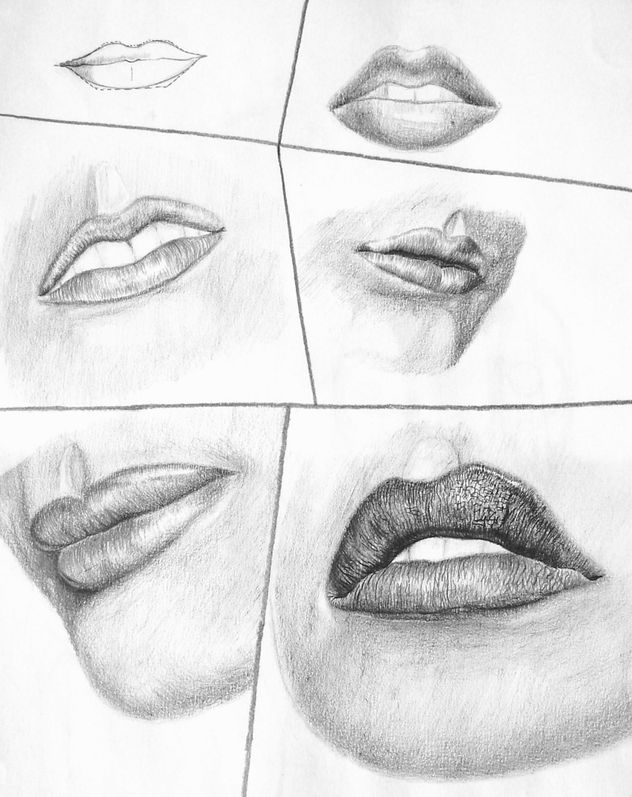 Estudio de los labios 2