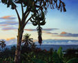 atardecer en el campo