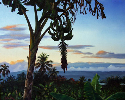 Atardecer en el campo