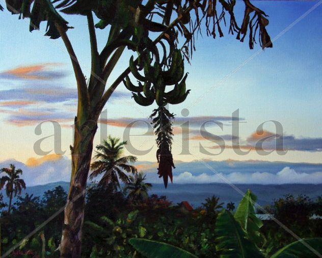 atardecer en el campo