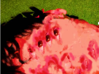 desfallecido en mi alfombra verde 