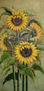 Girasoles de Gionanna