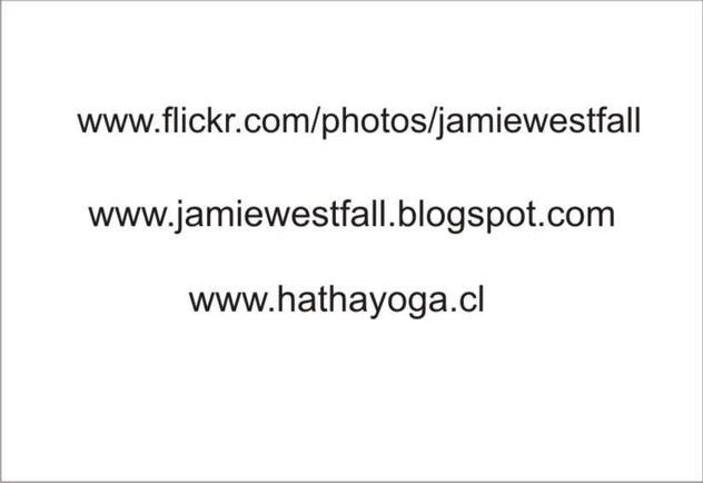 Jamie westfall