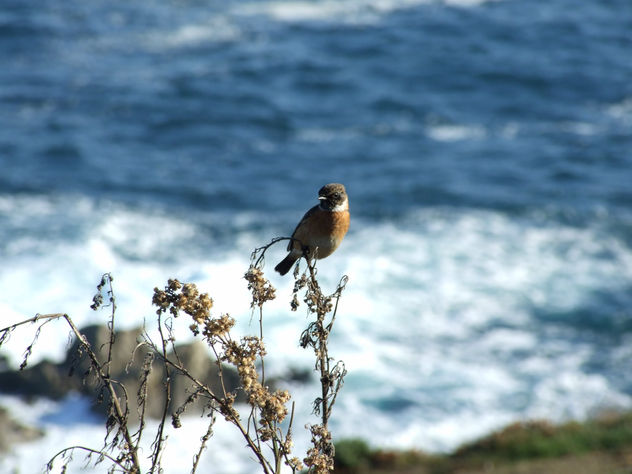 tierra, mar y aire