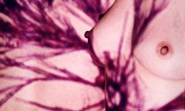 "Transformaciones"