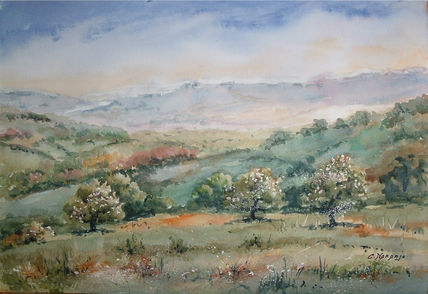 Dehesa.