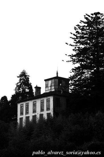 CASA CON ARBOLES 