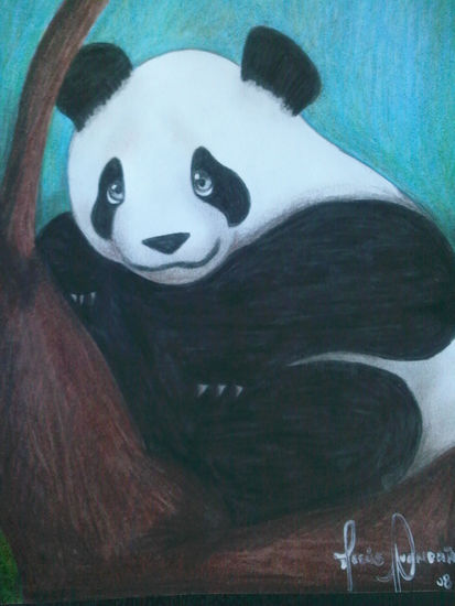 panda 2 