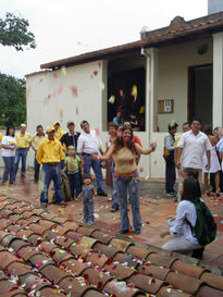 Pètalos al tejado