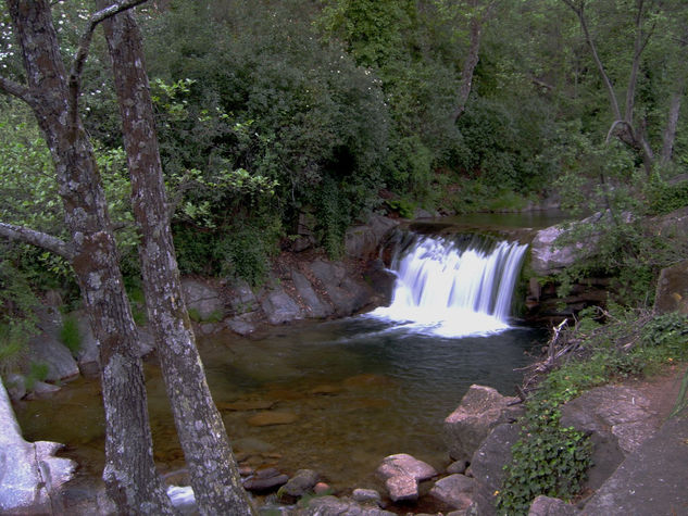 Cascada Nature Color (Digital)