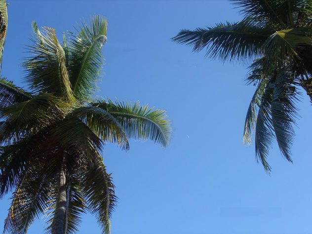 ''Verde sobre  Azul''