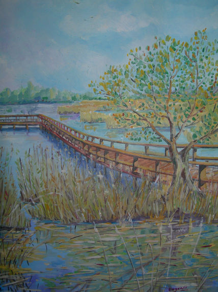 Tablas de Daimiel