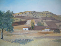 Campos en verano