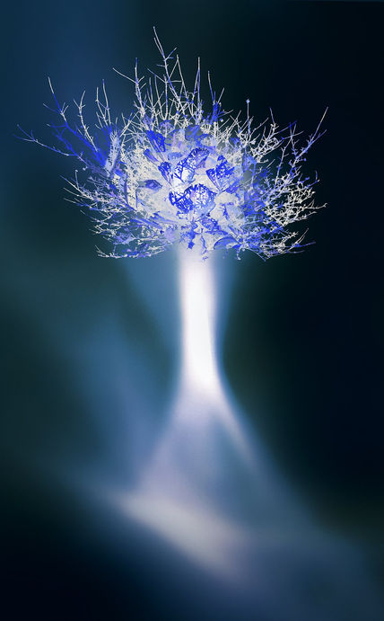 Arbol de la Vida