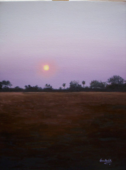 Paisaje chaqueño